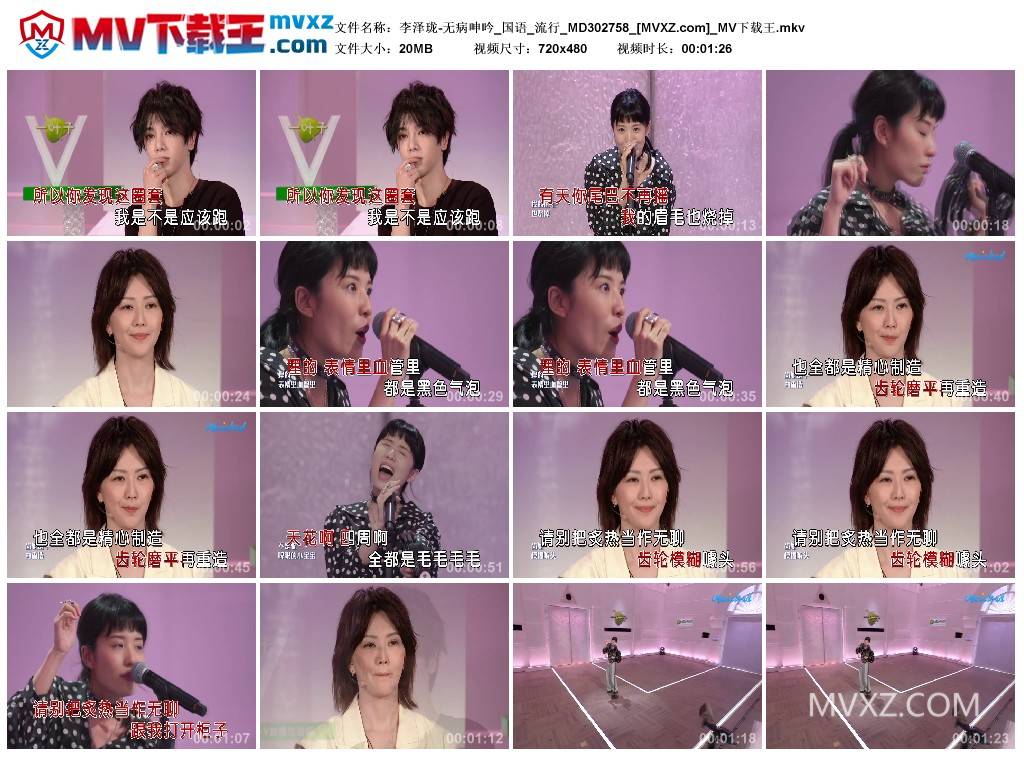 李泽珑-无病呻吟_国语_流行_MD302758